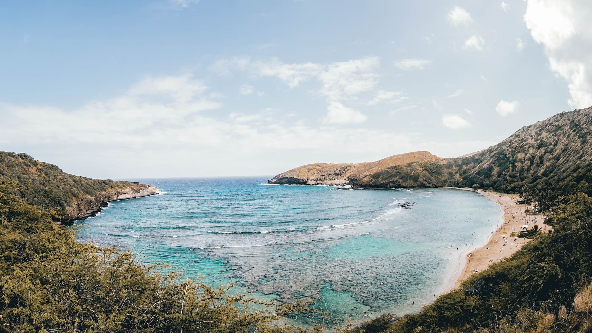 Paradise Cove photo