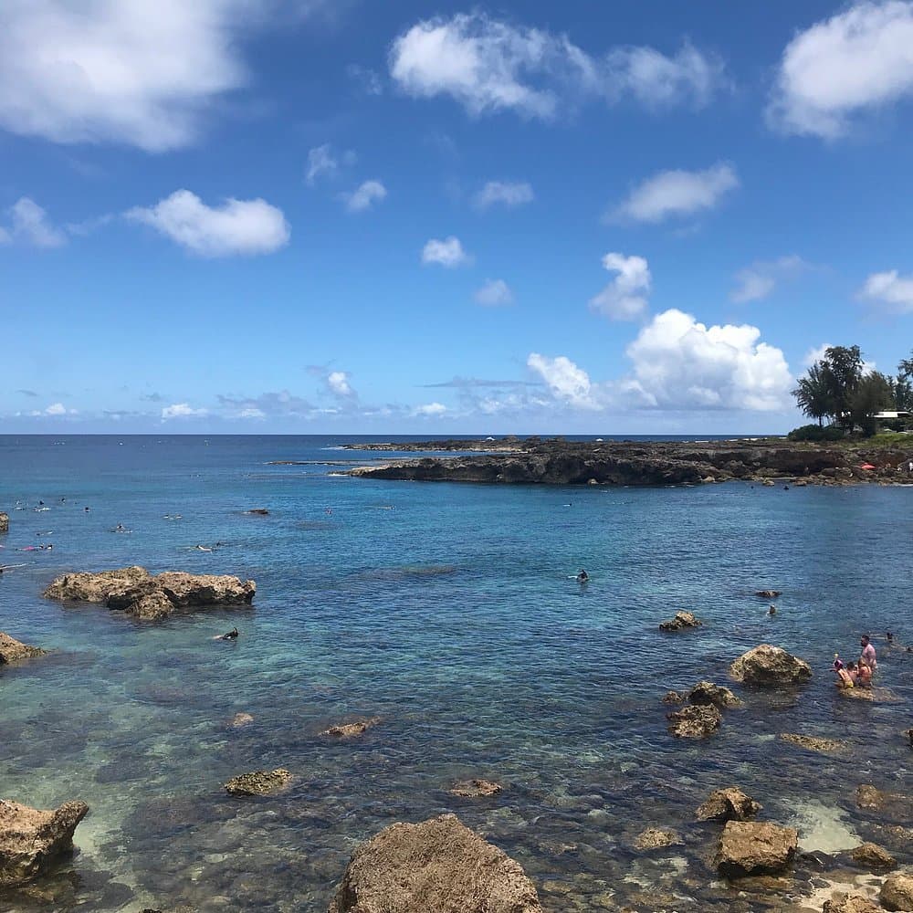 Shark’s Cove photo