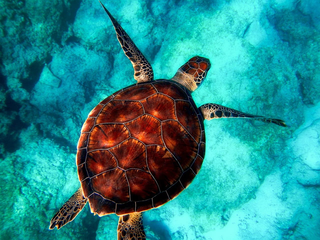 Turtle Canyon photo