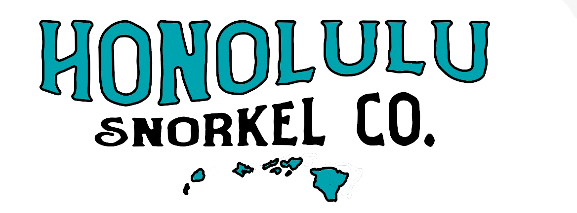 Honolulu Snorkel Company - Image 1